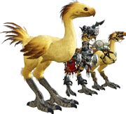 ff14 chocobo names|final fantasy 14 chocobo names.